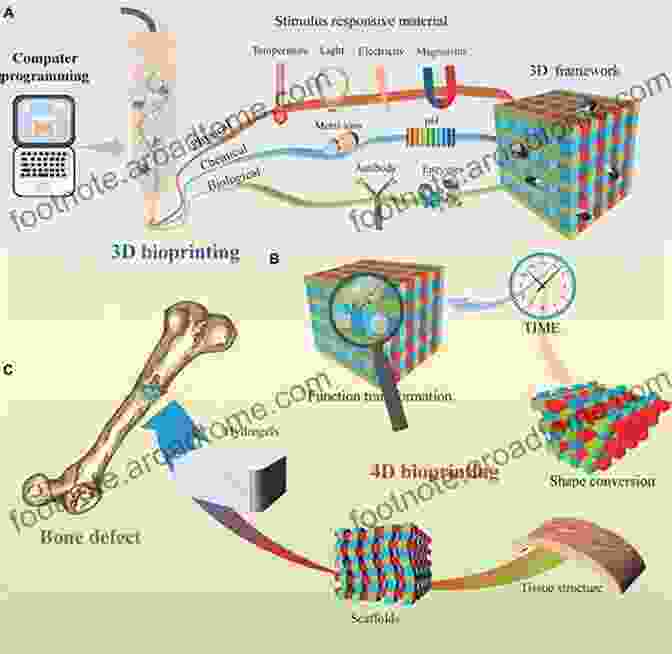 3D Printed Scaffold For Bone Tissue Engineering Smart Biomaterials (NIMS Monographs) Mitsuhiro Ebara