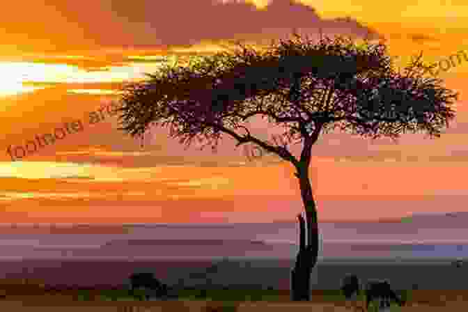 A Breathtaking Sunset Over The Maasai Mara National Reserve In Kenya. My Maasai Name Is Nemparnat: A Memoir Of My First Three Years In Kenya