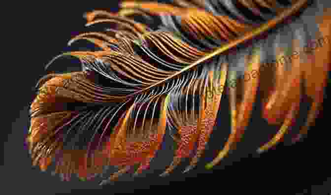 A Close Up Of A Beautifully Painted Feather, Showcasing Intricate Details And Vibrant Colors How To Paint On Feathers For Money