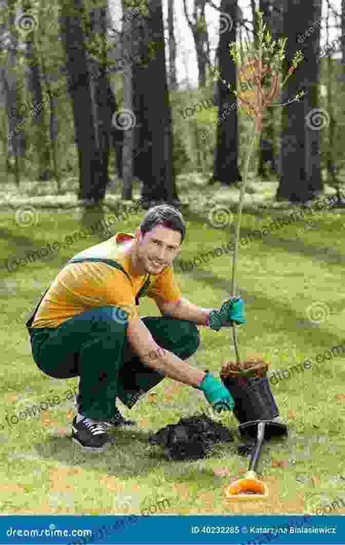 A Gardener Planting A Young Tree In A Garden Bed, Surrounded By Other Plants Dirr S Encyclopedia Of Trees And Shrubs