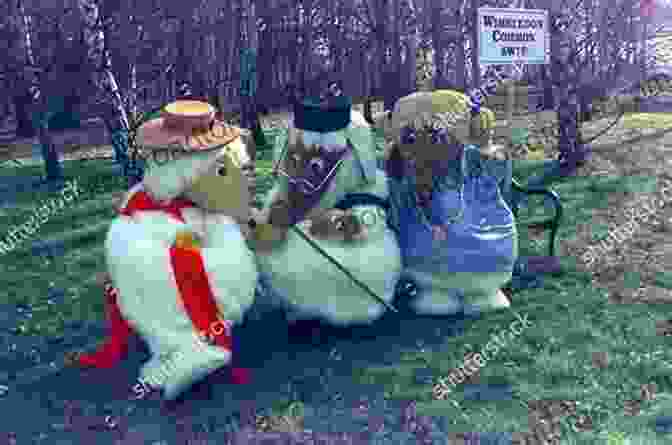 A Group Of Wombles, Including Great Uncle Bulgaria, Tobermory, Orinoco, Bungo, And Madame Cholet The Snow Womble (The Wombles)