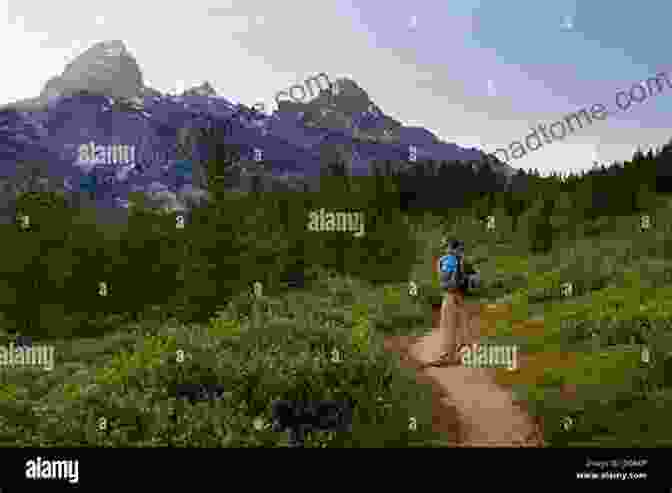 A Hiker Pauses To Admire A Breathtaking View Of A Mountain Range In A National Park, Capturing The Essence Of The Book's Exploration And Adventure. Walks Of A Lifetime In America S National Parks: Extraordinary Hikes In Exceptional Places