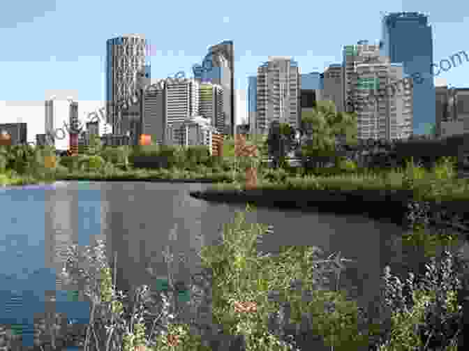 A Panoramic View Of The Bow River Flowing Through The City Of Calgary, With The Rocky Mountains In The Background The River Returns: An Environmental History Of The Bow