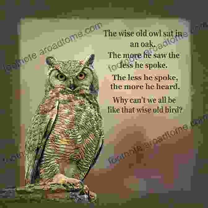 A Wise Old Owl Stares Into The Camera, Its Eyes Full Of Wisdom And Mystery. The Animal Dialogues: Uncommon Encounters In The Wild