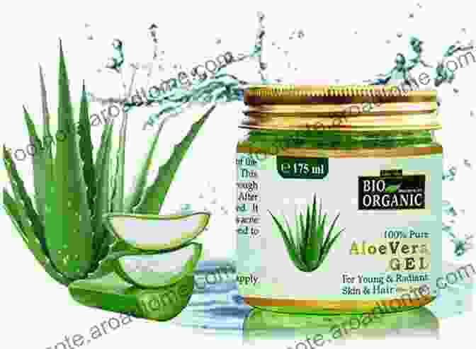 Aloe Vera For Acne Treatment How To Ger Rid Of Acne Scars And Pimples (Acne Treatments Acne Cure Acne Remedy Book) : Learn The Most Effective Methods And Natural Remedies To Cure Acne