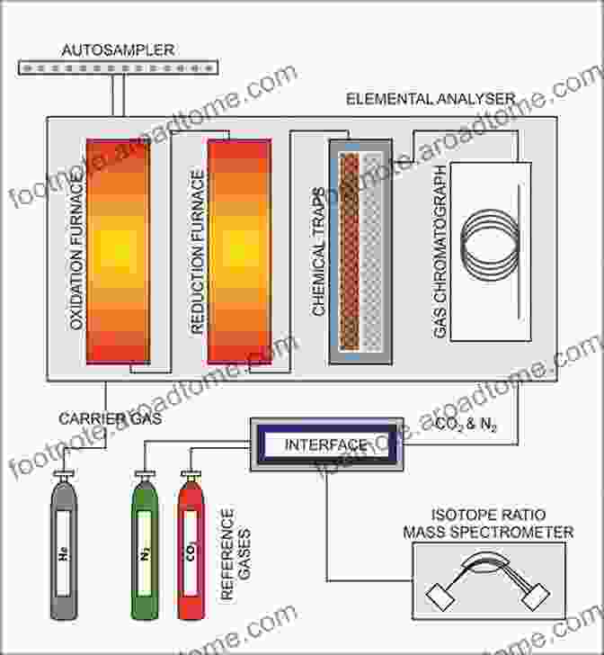 Analytical Techniques Used To Measure Calcium Isotopes In Environmental Samples Calcium Isotopes (Elements In Geochemical Tracers In Earth System Science)