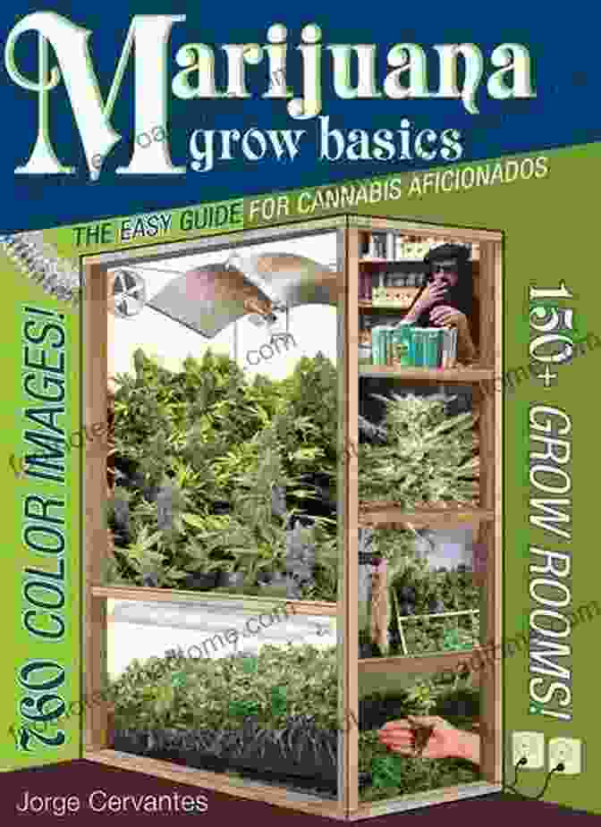 Cannabis Guidebook Cover Marijuana Grow Basics: The Easy Guide For Cannabis Aficionados