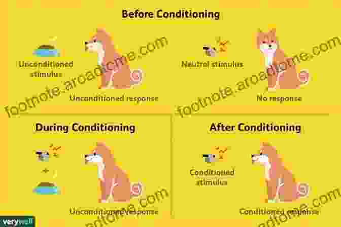 Classical Conditioning Diagram Behavioral Human Psychology: Learn More About Behavioral Theories And How Psychology Programs Explore The Human Mind And Provide An Understanding Of Human Behaviors Reactions Actions And Emotions