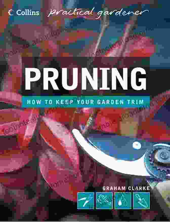 Conrad Waters' Collins Practical Gardener Book Cover, A Comprehensive Guide To Pruning For Gardeners Of All Levels Pruning (Collins Practical Gardener) Conrad Waters