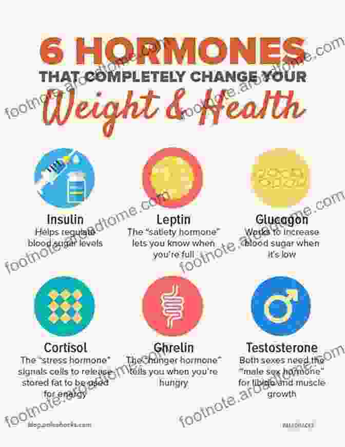 Diagram Illustrating The Connections Between Hormones, Nutrition, And Exercise In Weight Loss Easy Weight Loss: The Ultimate Weight Loss Solution: Discover The Surprising Techniques And Weight Loss Mindset That Will Get You The Body Of Your Dreams (The Rapid Results Academy)