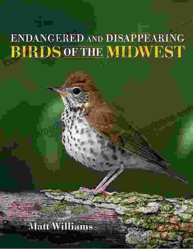 Endangered And Disappearing Birds Of The Midwest Book Cover Endangered And Disappearing Birds Of The Midwest