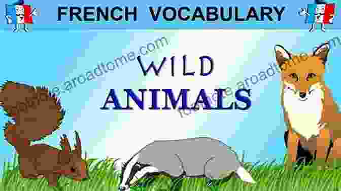 French For Kids Animals Cover French For Kids: Animals Coco Shell