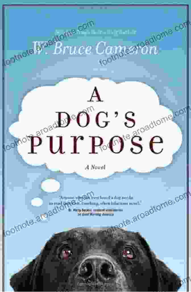 Good Boy: My Life In Seven Dogs, A Heartwarming Book About The Transformative Power Of Dogs Good Boy: My Life In Seven Dogs