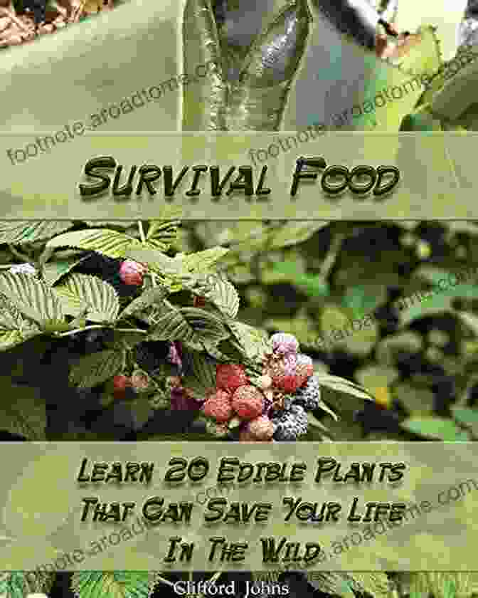 Identifying Wild Edibles PREPPERS SURVIVAL NATURAL MEDICINE FOR BEGINNERS: A Simple Guide With Essential Tips And Techniques For Maintaining Good Health Off Grid Using Herbs Essential Oils Honey And Many More