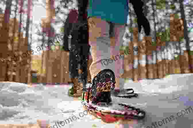 Image Of A Family Snowshoeing Through A Winter Forest Bundle Up Jennifer Sattler