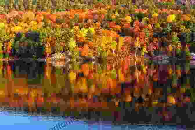 Lake During Autumn Foliage Still Waters: The Secret World Of Lakes