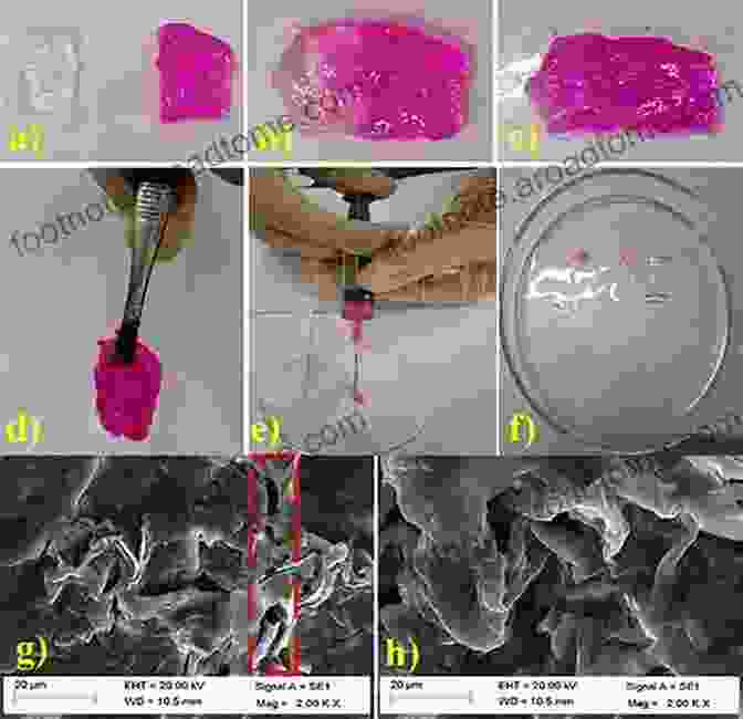 Microscopic Image Of A Self Healing Hydrogel Smart Biomaterials (NIMS Monographs) Mitsuhiro Ebara