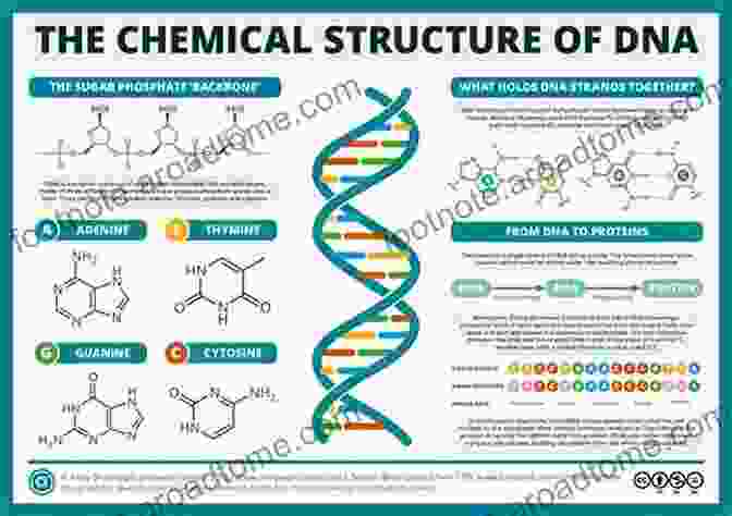 Molecular Structure And Functionality Handbook Of Lipid Membranes: Molecular Functional And Materials Aspects