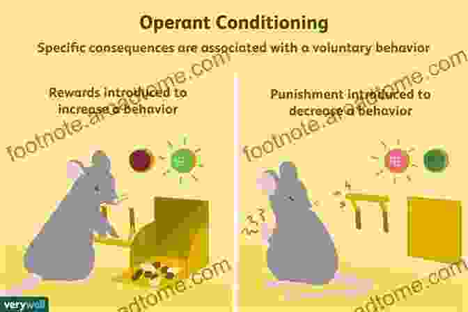 Operant Conditioning Diagram Behavioral Human Psychology: Learn More About Behavioral Theories And How Psychology Programs Explore The Human Mind And Provide An Understanding Of Human Behaviors Reactions Actions And Emotions