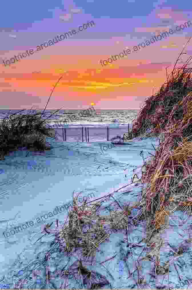 Panoramic View Of The Outer Banks, With Rolling Sand Dunes, Lush Vegetation, And The Atlantic Ocean In The Background. Journey Through The Outer Banks