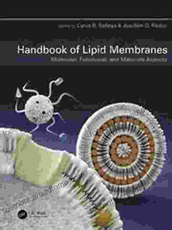 Renowned Experts Handbook Of Lipid Membranes: Molecular Functional And Materials Aspects