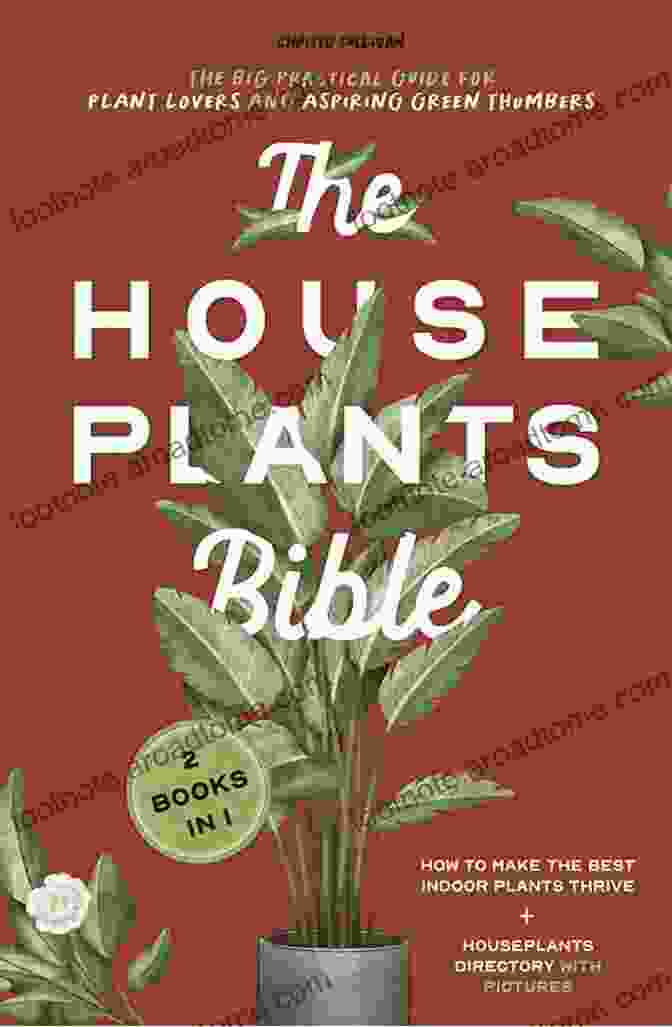 The Big Practical Guide For Plant Lovers And Aspiring Green Thumbers The Houseplants Bible For Beginners: 2 In 1 The Big Practical Guide For Plant Lovers And Aspiring Green Thumbers Make The Best Indoor Plants Thrive + Houseplants Directory With Pictures