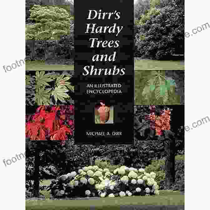 The Cover Of Dirr's Encyclopedia Of Trees And Shrubs, Showcasing A Lush Green Forest And Vibrant Foliage Dirr S Encyclopedia Of Trees And Shrubs