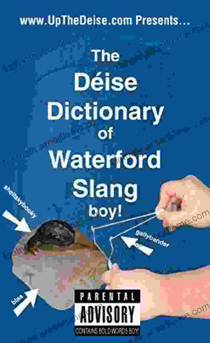 The Deise Dictionary Of Waterford Slang Boy Irish Slang Book Cover The Deise Dictionary Of Waterford Slang Boy (Irish Slang 2)