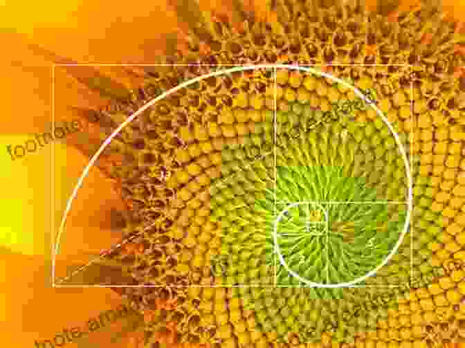 The Fibonacci Spiral: Nature's Golden Ratio The Joy Of Mathematics: Marvels Novelties And Neglected Gems That Are Rarely Taught In Math Class