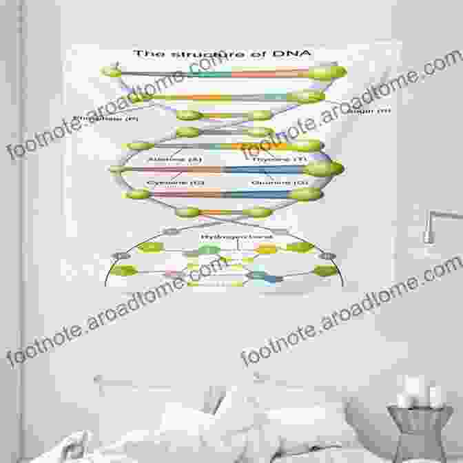 The Human Genome: A Tapestry Of Genetic Information Curiosity Guides: The Human Genome