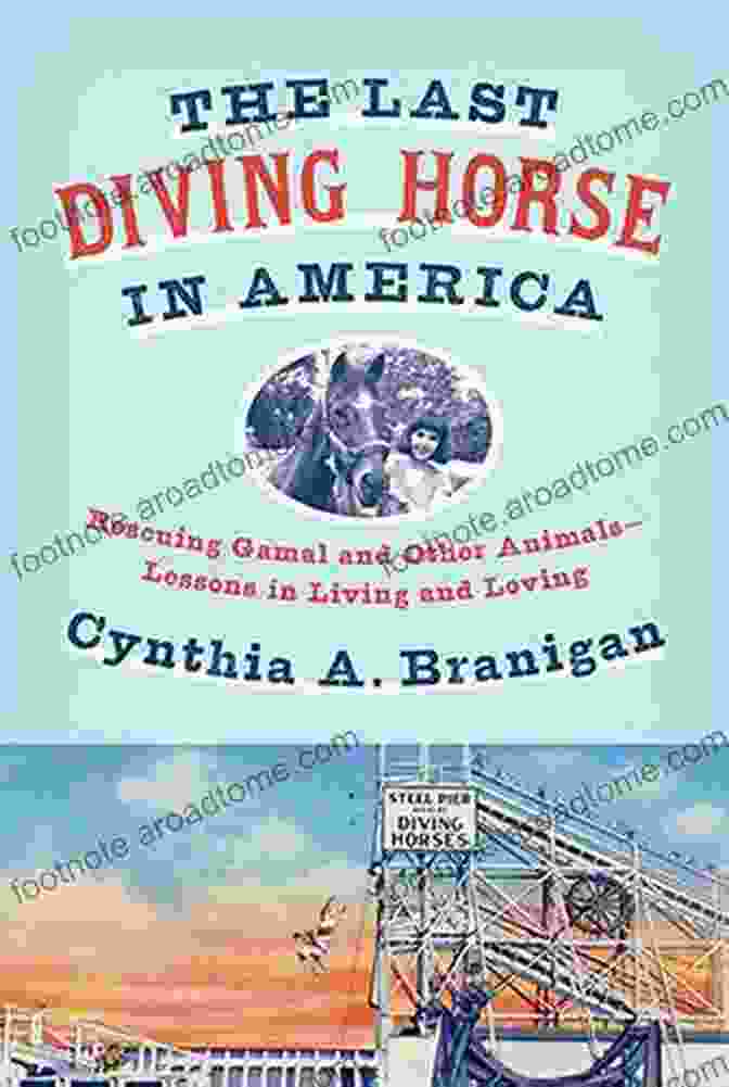 The Last Diving Horse In America Book Cover, Showcasing A Horse Diving Into A Clear Pool Of Water The Last Diving Horse In America: Rescuing Gamal And Other Animals Lessons In Living And Loving