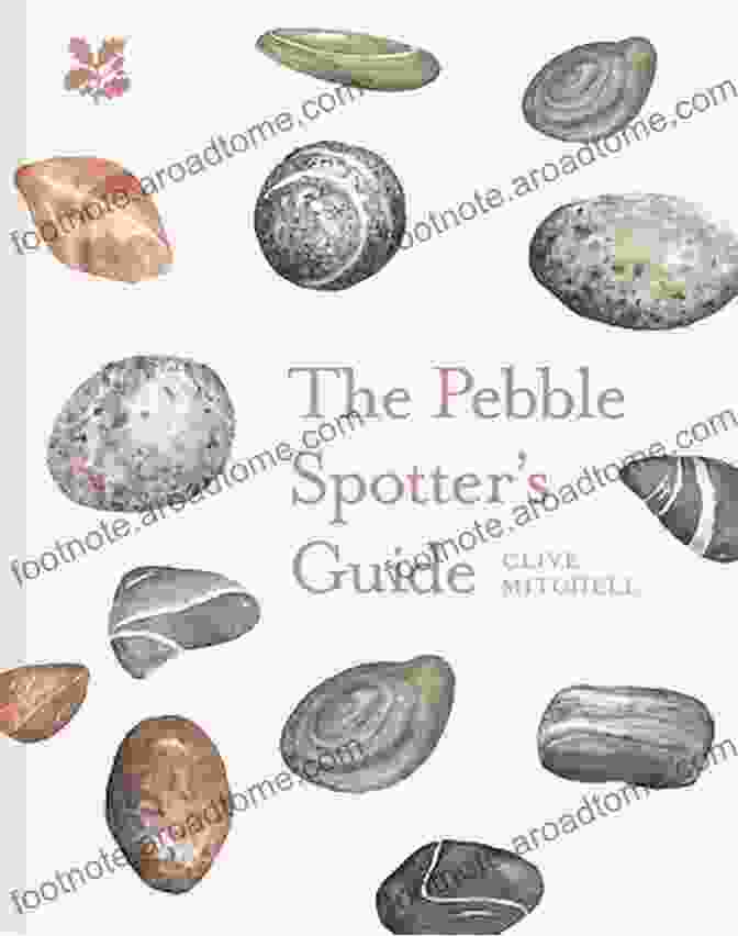 The Pebble Spotter Guide Book Cover Featuring A Collection Of Vibrant Pebbles Against A Dark Background The Pebble Spotter S Guide Clive Mitchell