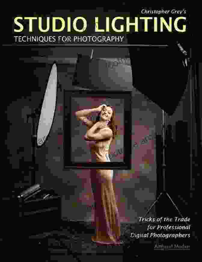 Twitter Christopher Grey S Vintage Lighting: The Digital Photographer S Guide To Portrait Lighting Techniques From 1910 To 1970