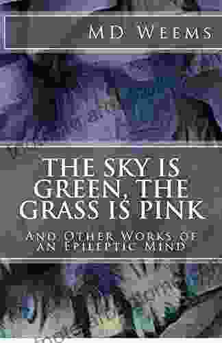 The Sky Is Green The Grass Is Pink: And Other Works Of An Epileptic Mind