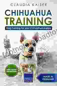 Chihuahua Training: Dog Training For Your Chihuahua Puppy