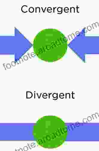 Development Patterns Of Material Productivity: Convergence Or Divergence? (Contributions To Economics)