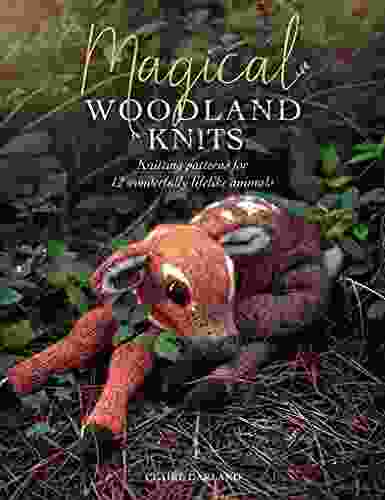 Magical Woodland Knits: Knitting Patterns For 12 Wonderfully Lifelike Animals