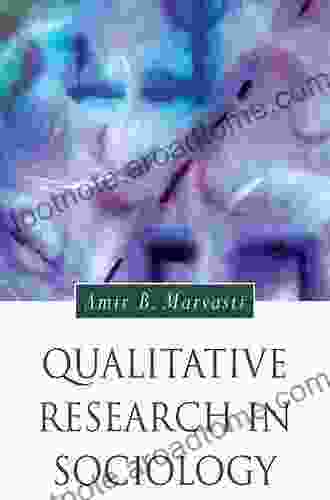 Qualitative Research in Sociology (Introducing Qualitative Methods series)