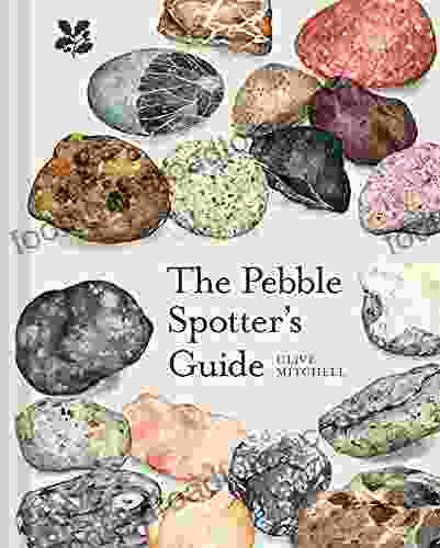 The Pebble Spotter S Guide Clive Mitchell