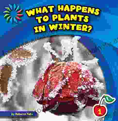 What Happens To Plants In Winter? (21st Century Basic Skills Library: Let S Look At Winter)