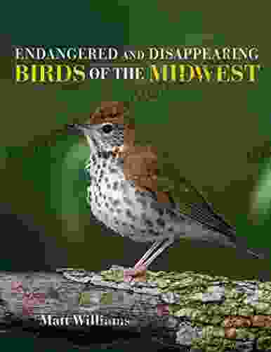 Endangered And Disappearing Birds Of The Midwest