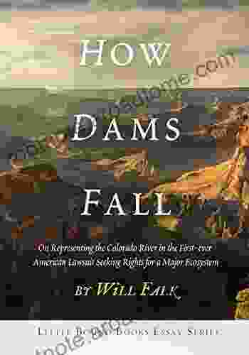 How Dams Fall Laura Lee