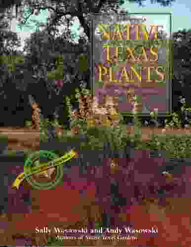 Native Texas Plants: Landscaping Region By Region