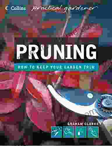 Pruning (Collins Practical Gardener) Conrad Waters