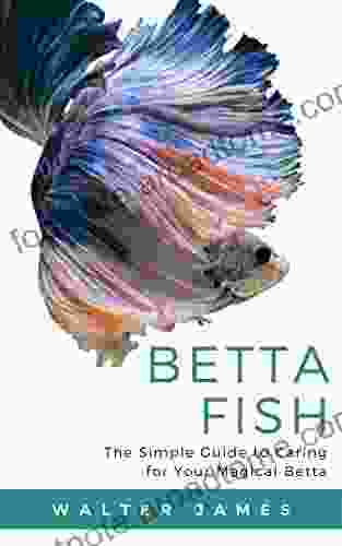 Betta Fish: The Simple Guide To Caring For Your Magical Betta