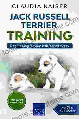 Jack Russell Terrier Training: Dog Training For Your Jack Russell Puppy