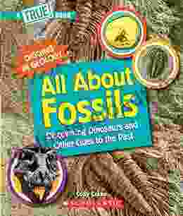 All About Fossils (A True Book): Discovering Dinosaurs And Other Clues To The Past (A True (Relaunch))